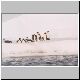 1912_Bay_Of_Whales_Kaiserpinguine.jpg