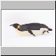 2204_Golikov_Bay_Kaiserpinguin.jpg
