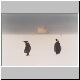2232_Golikov_Bay_Kaiserpinguine.jpg