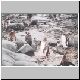 2728_Petermann_Island_Eselspinguine.jpg